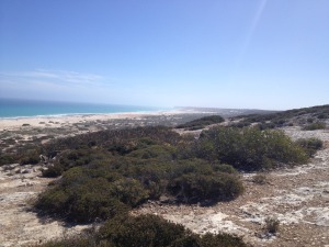 Site photo