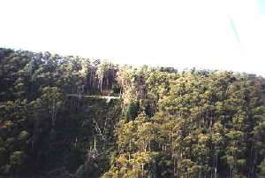 Site photo