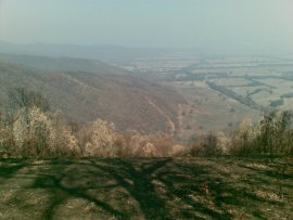 Site photo