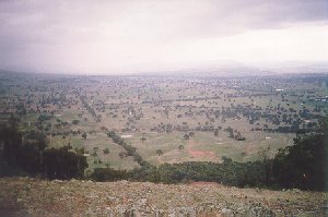 Site photo