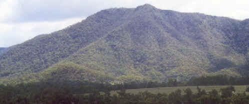 Site photo